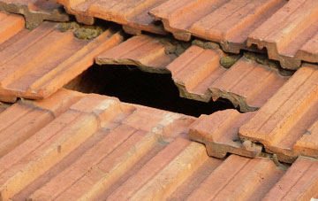 roof repair Cold Blow, Pembrokeshire