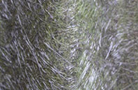 Cold Blow fibreglass roof work